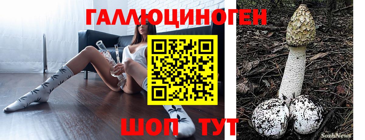 Псилоцибиновые грибы Psilocybe Шебекино