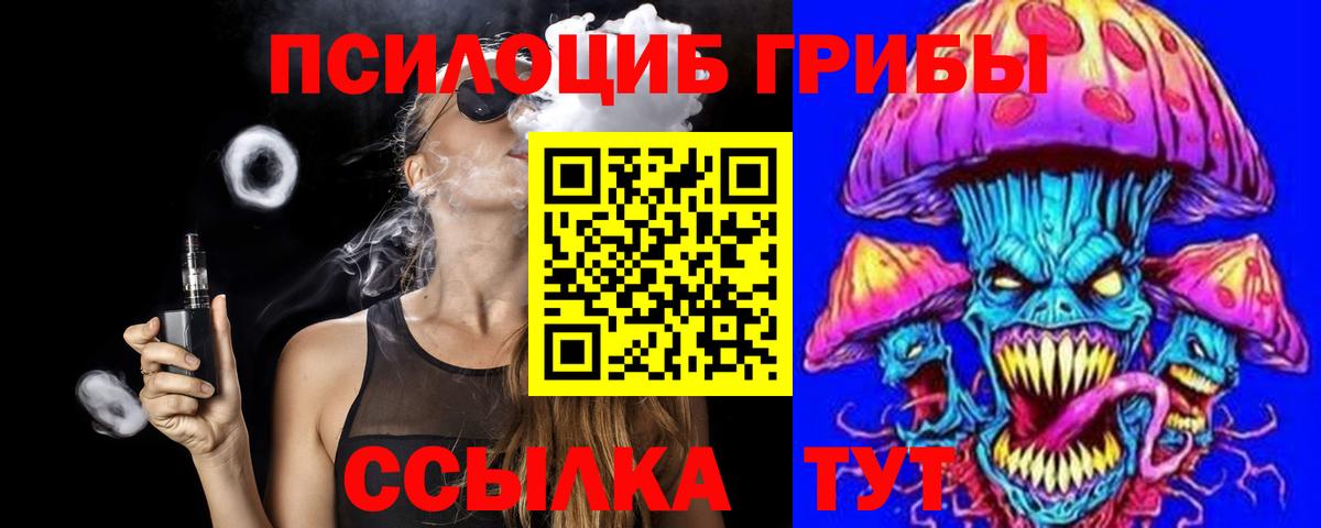 Шебекино  Псилоцибиновые грибы Magic Shrooms  Вход с VPN 